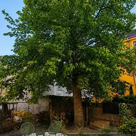 Apartment Evening Elegance - Vivien Ceske Budejovice